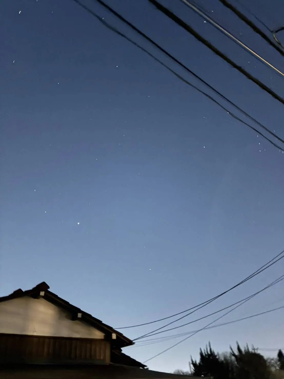 PoorCello9524의 裏切り者の末路