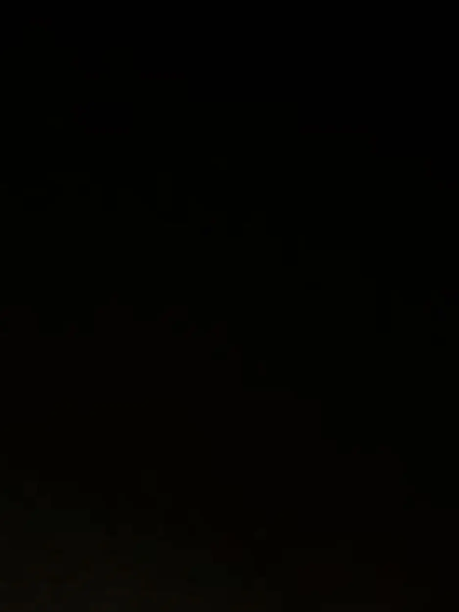 Rulrunene_rulru의 살인청부업자 비스트