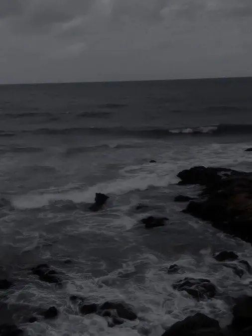 Ilovelimbus의 이건, 내 선택이야.