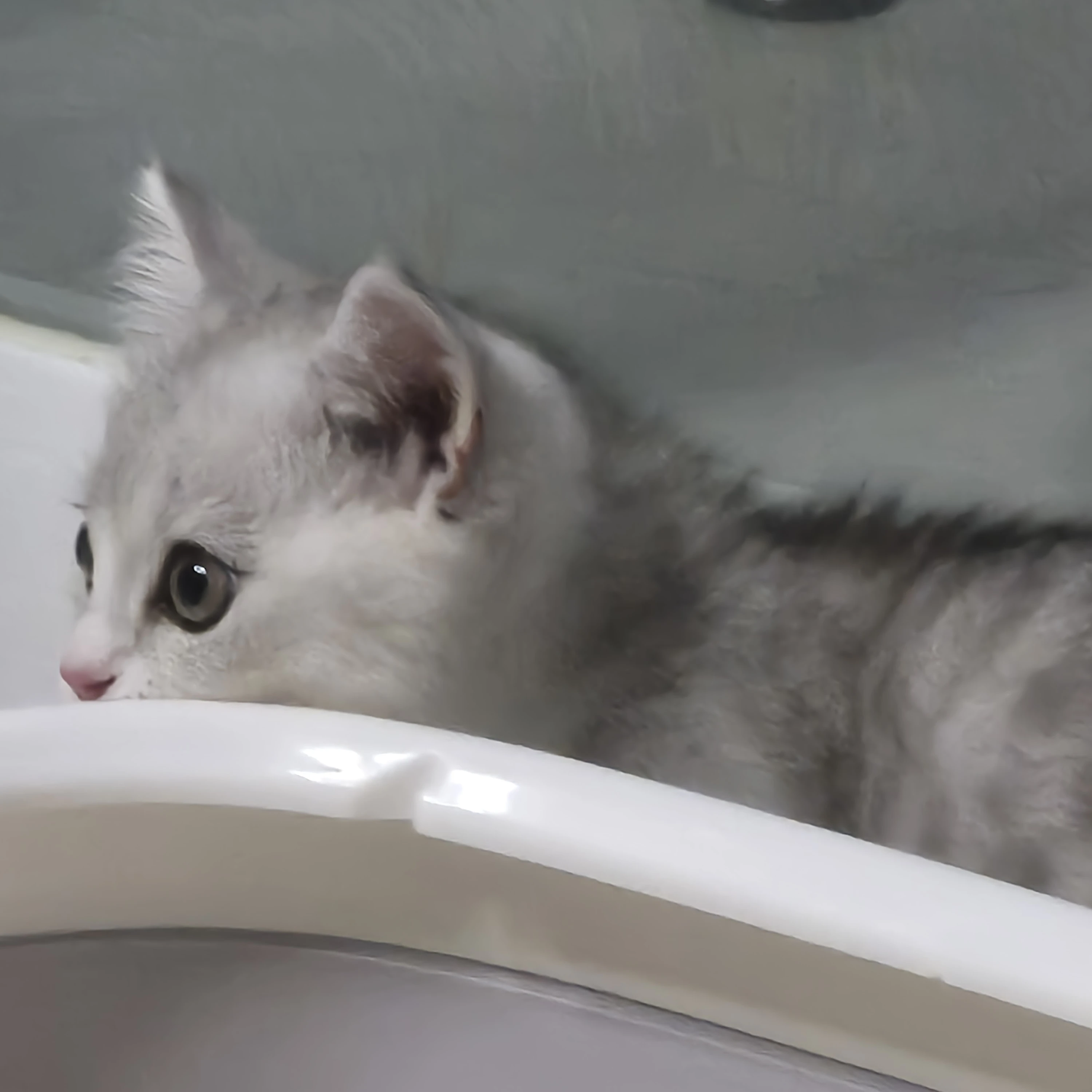 먼지