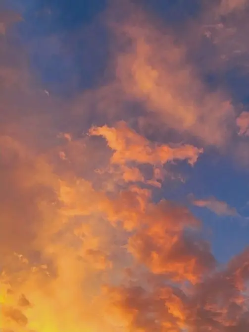 cooker0707의 니노 선데이: 실험명 복종