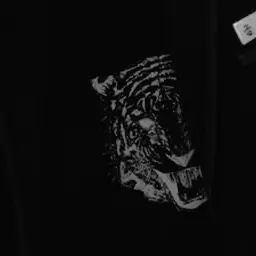 Jaguar_의 금성제
