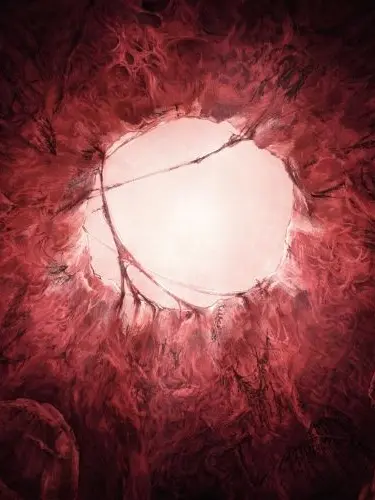 OpenVest8139의 목숨 (아카네 리제) 세계