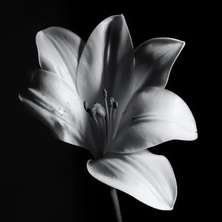 Cloudyd4y의 花樣年華