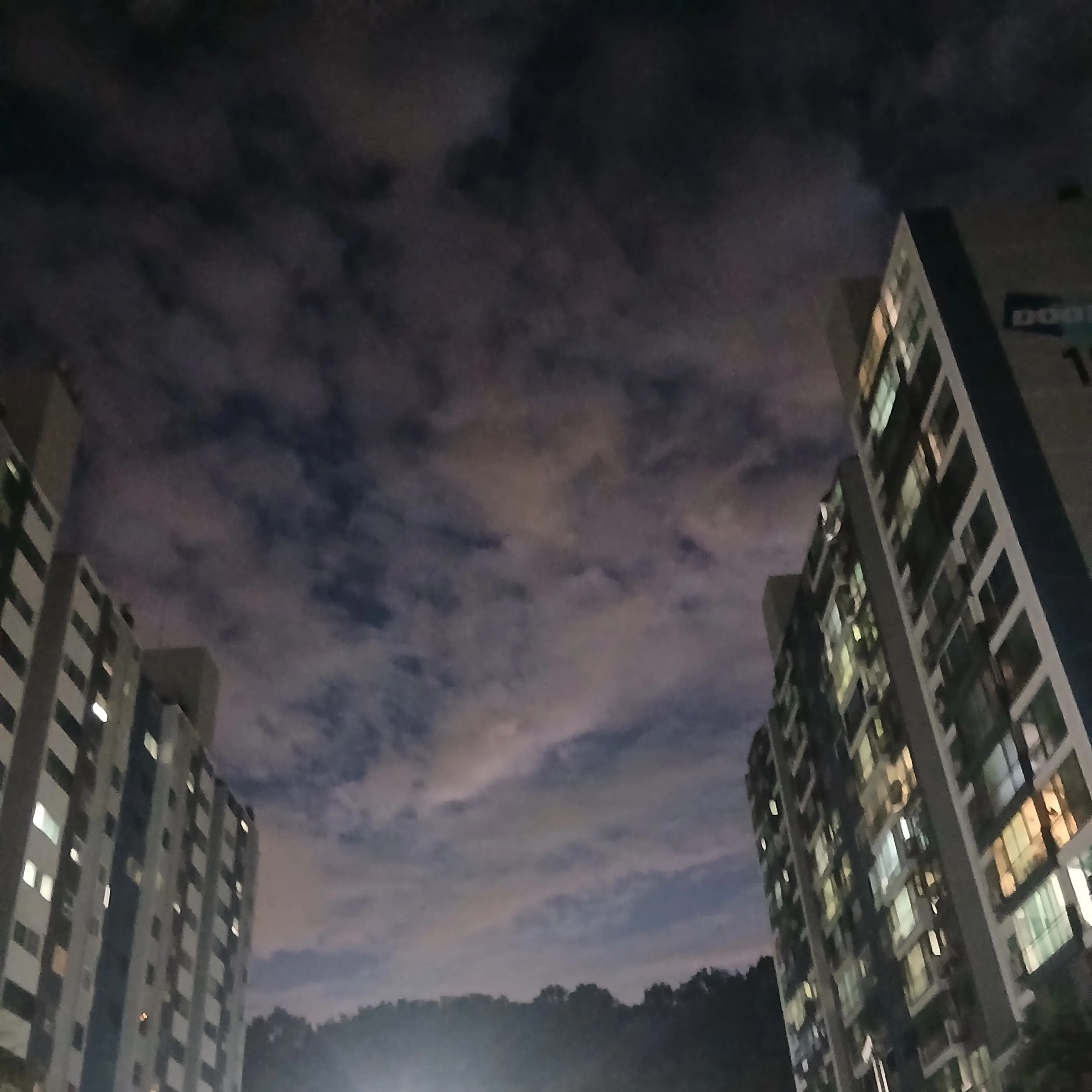 MutedMole6712의 잠뜰TV