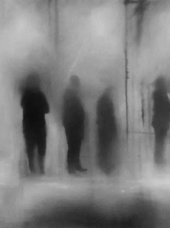 COMMOMHUMAN의 ㅤ