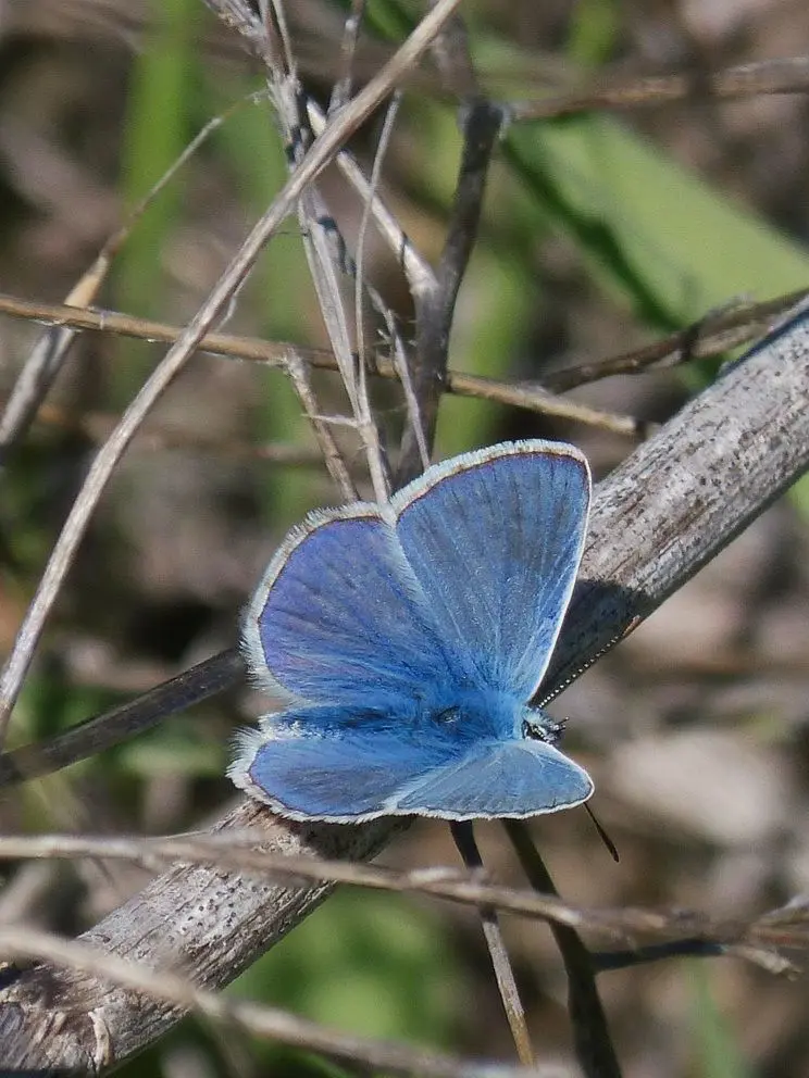 jk7의 🪶 너에게만 보이는 요정