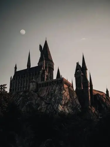 tm0605의 Hogwarts 1995