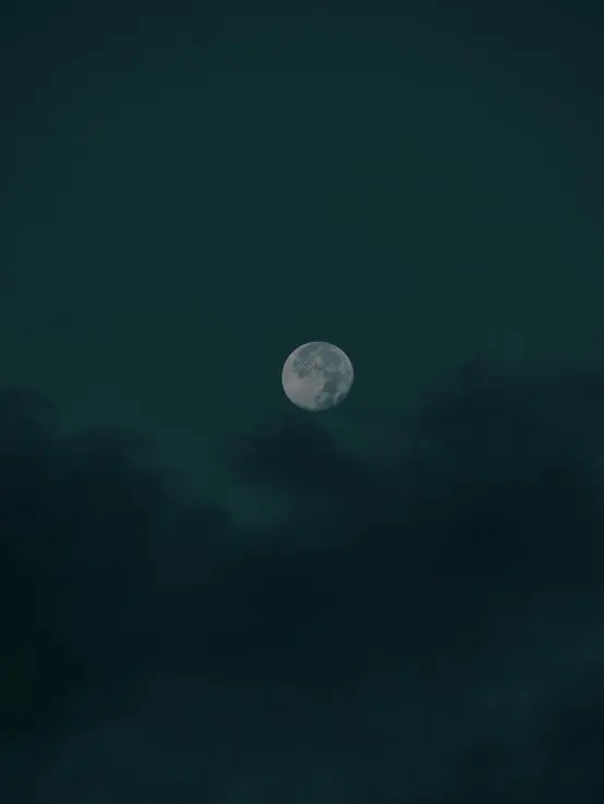 if_I_attaked_by_grizzly의 👤“내 아들한테서 떨어져.”👤