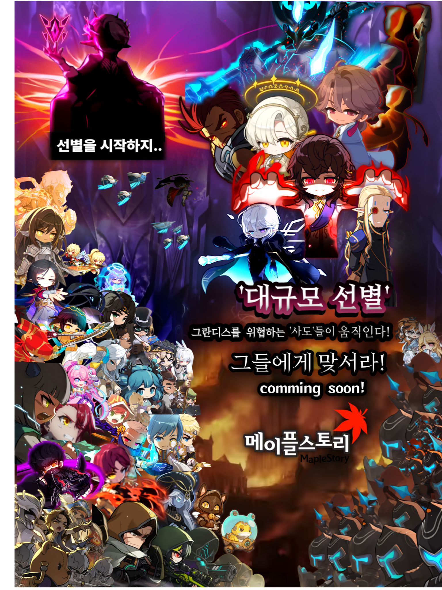메이플(대규모 선별1) 대표 이미지
