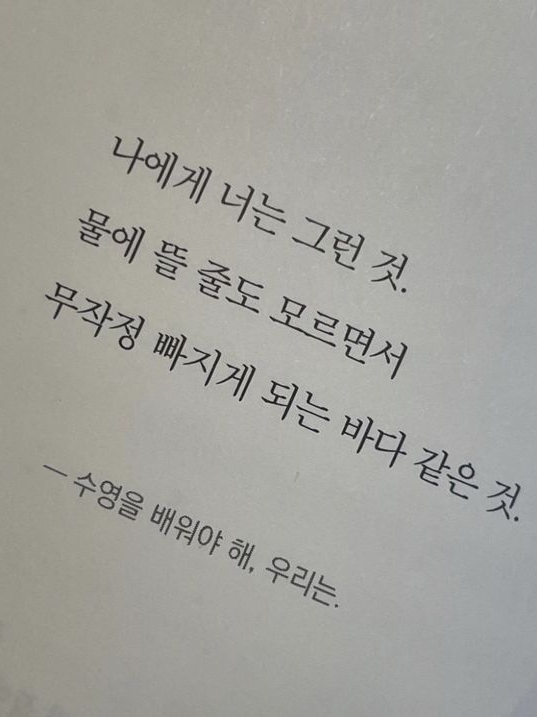 Project-D 대표 이미지