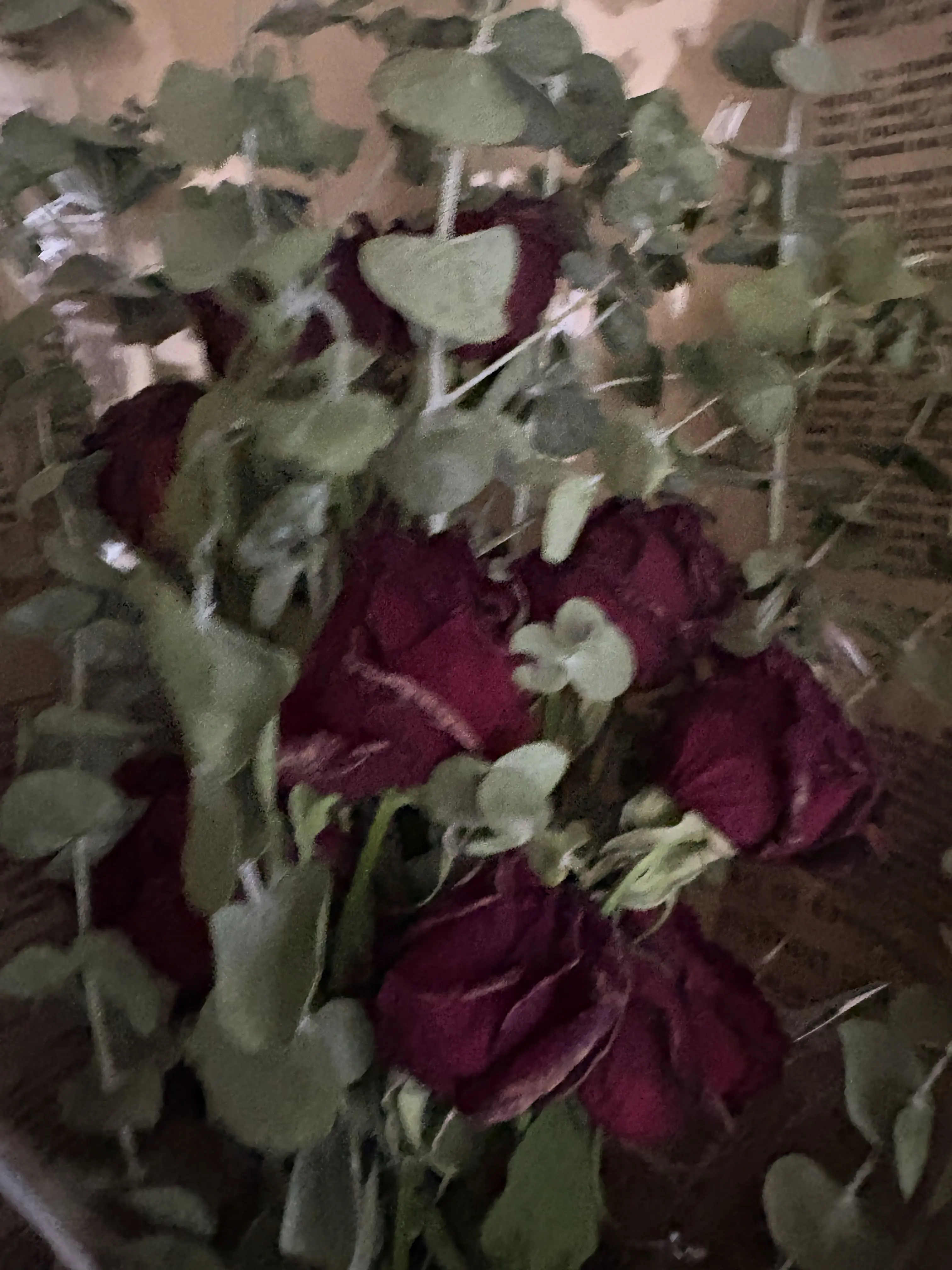 I_hate_English의 F4