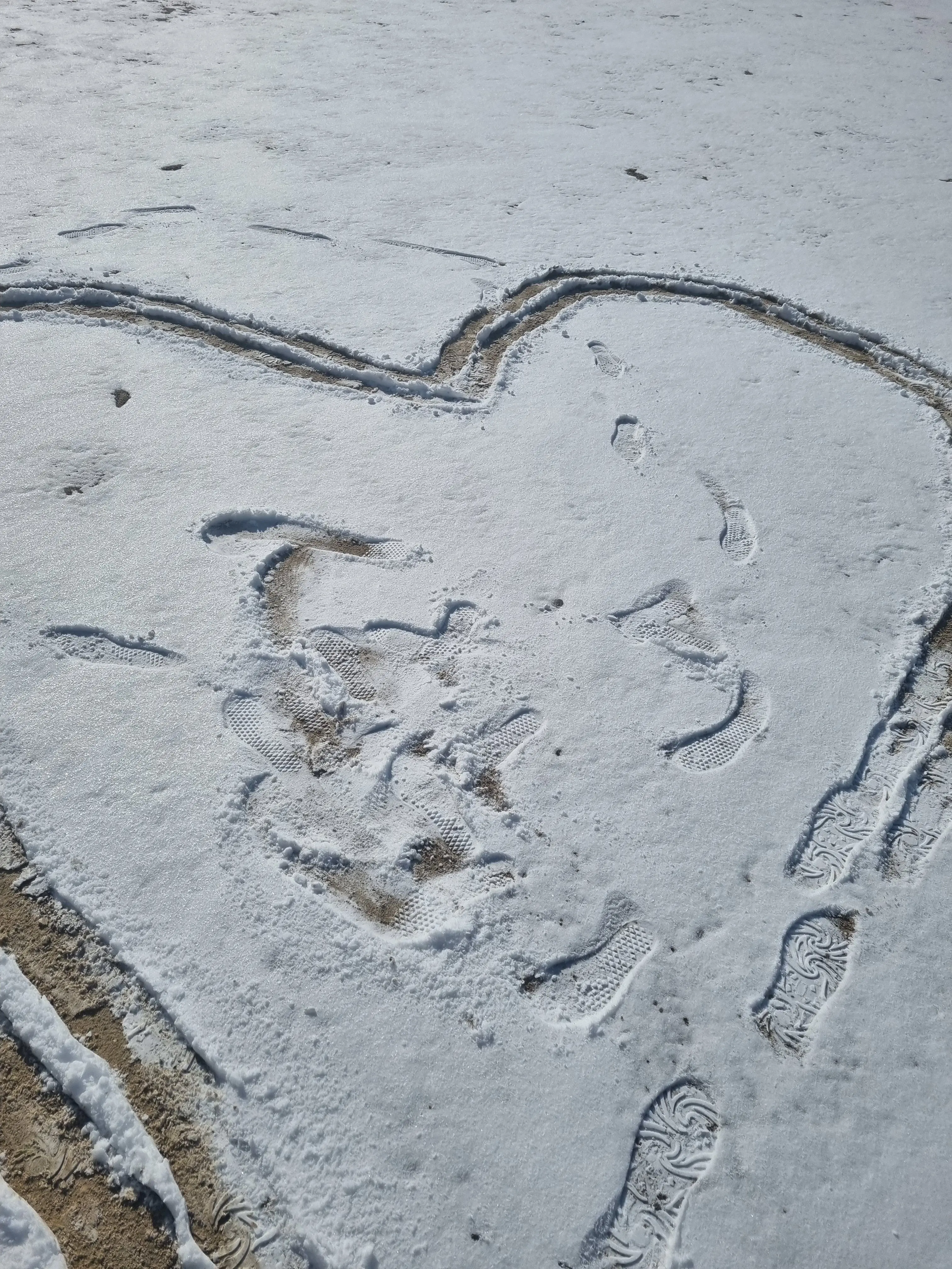 nlnoa의 동생 보넥