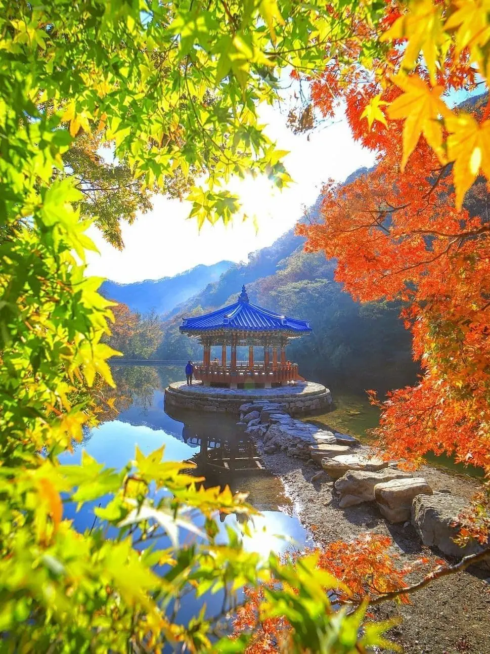 woozinp12의 멜론특공대