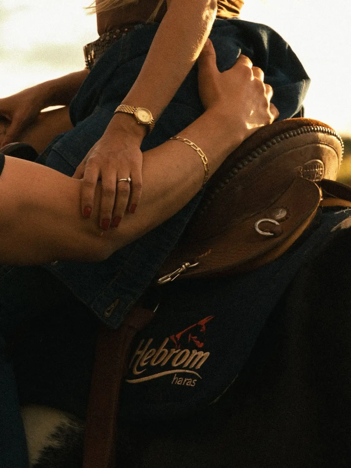 BulkySage7400의 The Cowboy’s Ranch