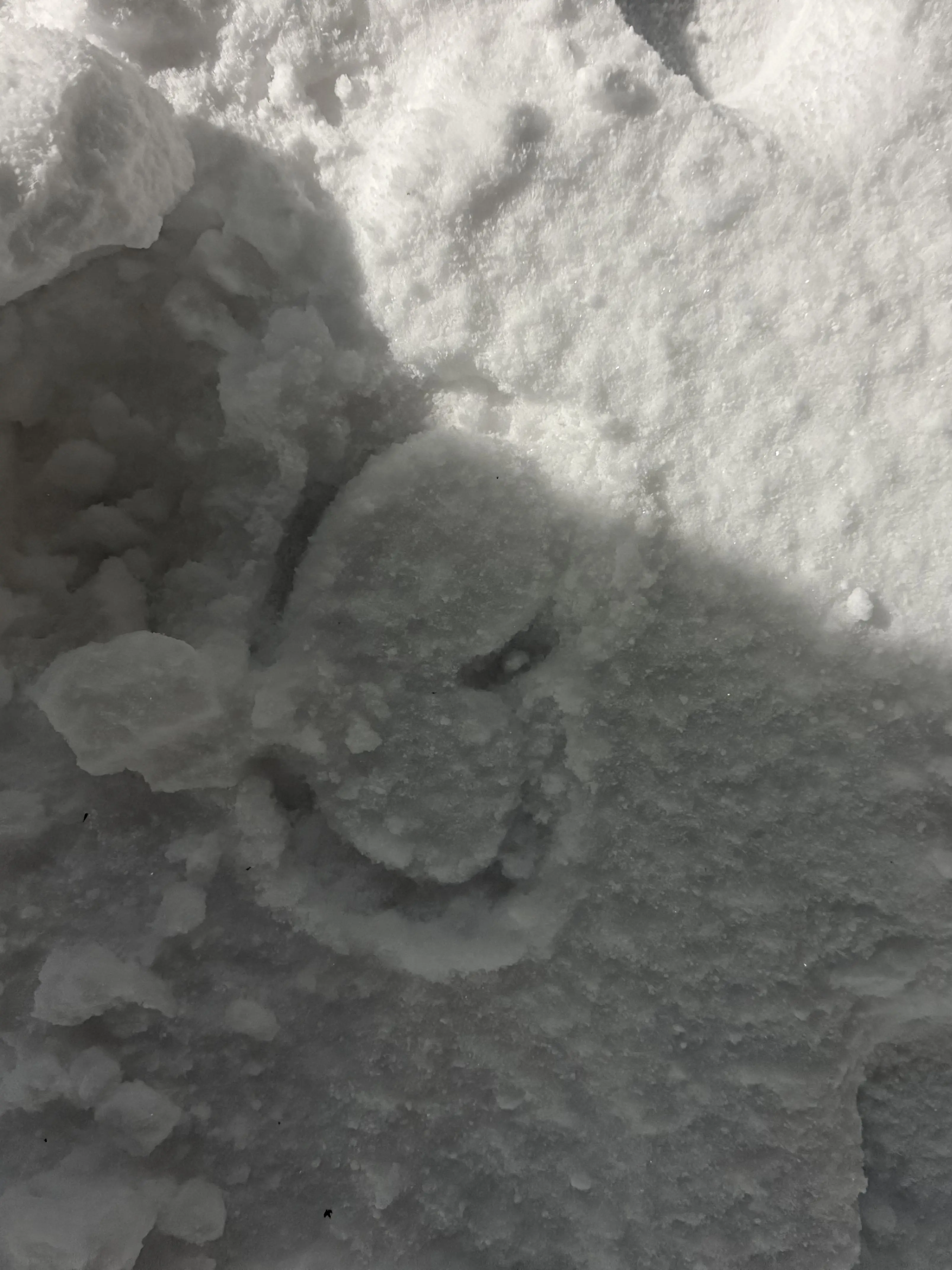 TriteGar2466의 트위스티드 원더랜드