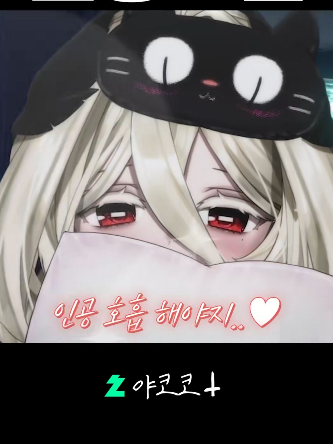 야코코(수위 높음 주위) 대표 이미지