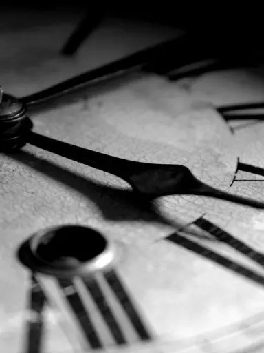 NOlSE의 안갈꺼야.