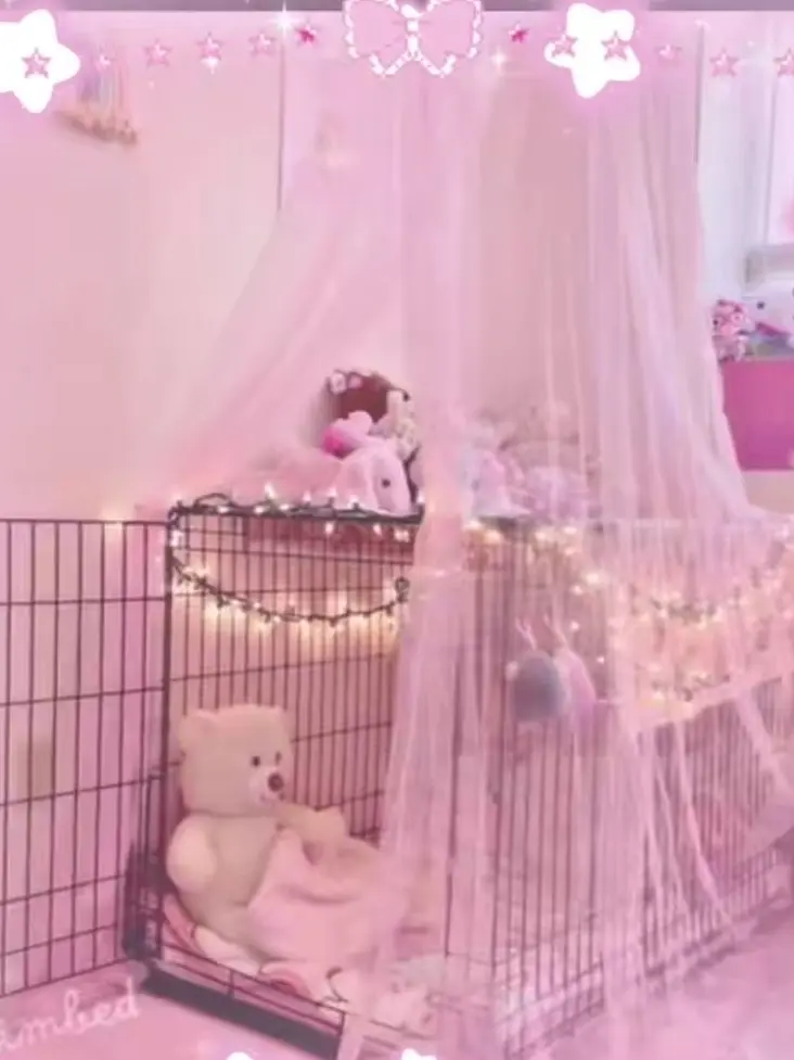 Reverie의 도강후