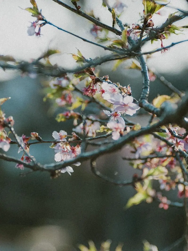 syousei111의 やくそく、おぼえてますか。
