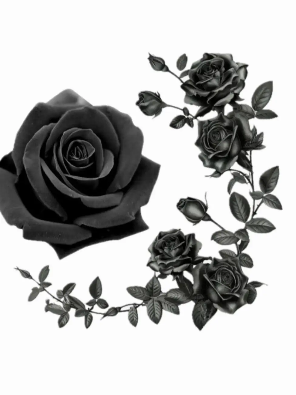 riever_12의 리레볼루션 [Black Rose]