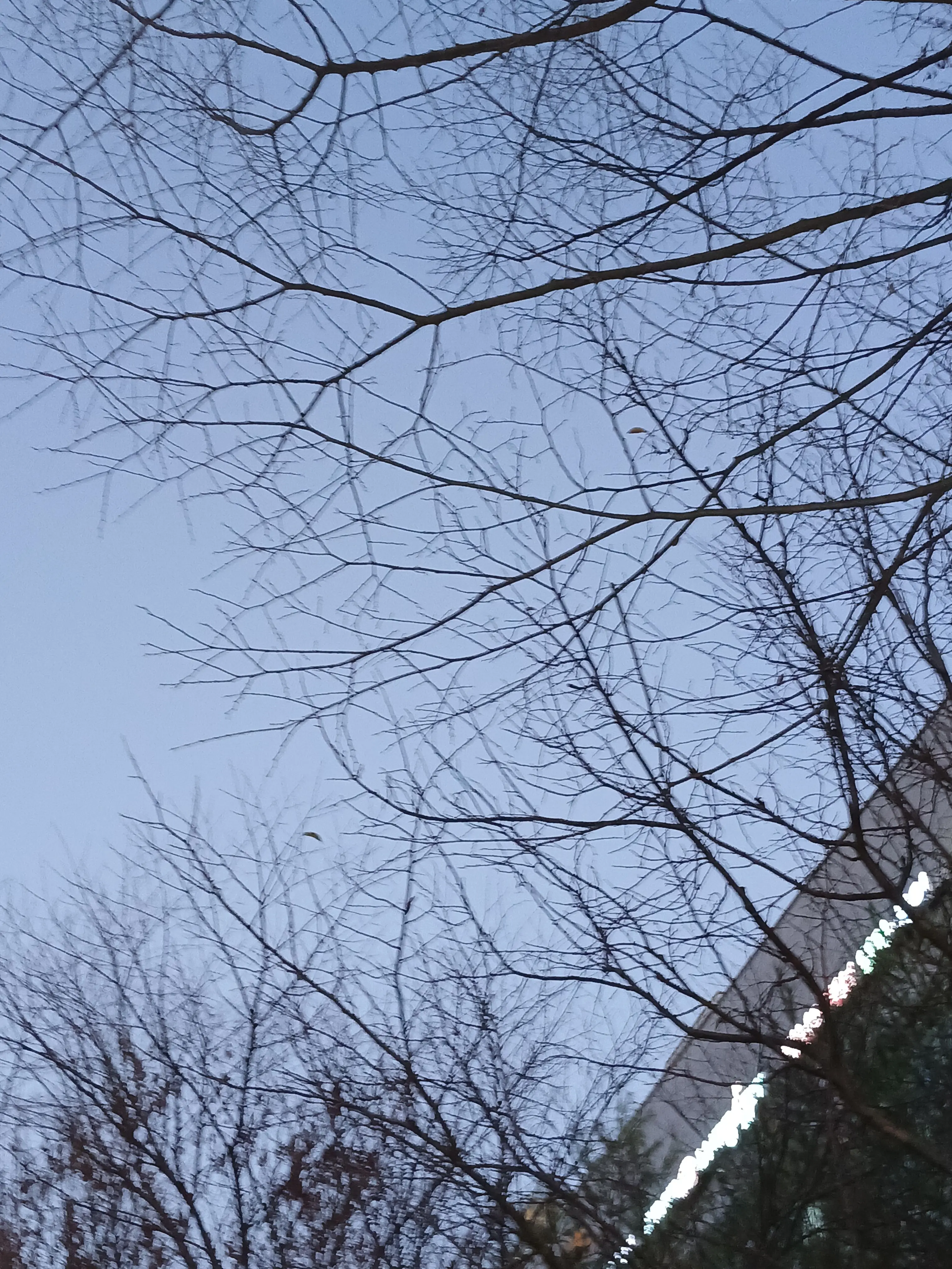 QuirkyTower3518의 아니, 수학여행을 내 웬수랑....