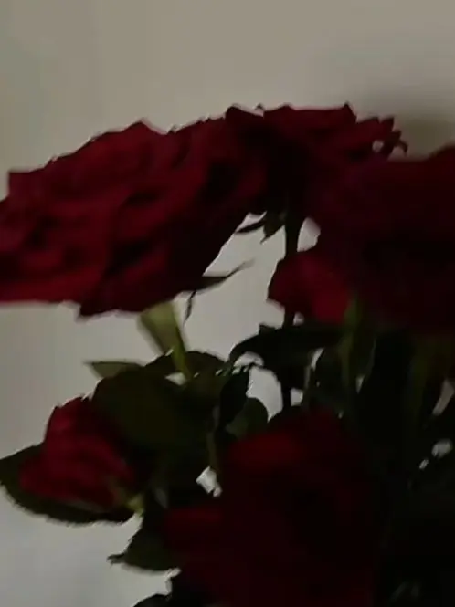 nrkrsan의 L E A D E R