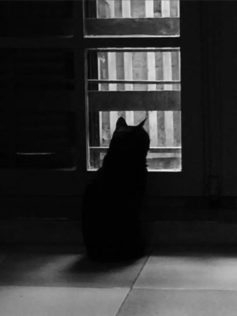 BaNillabread의 융콤