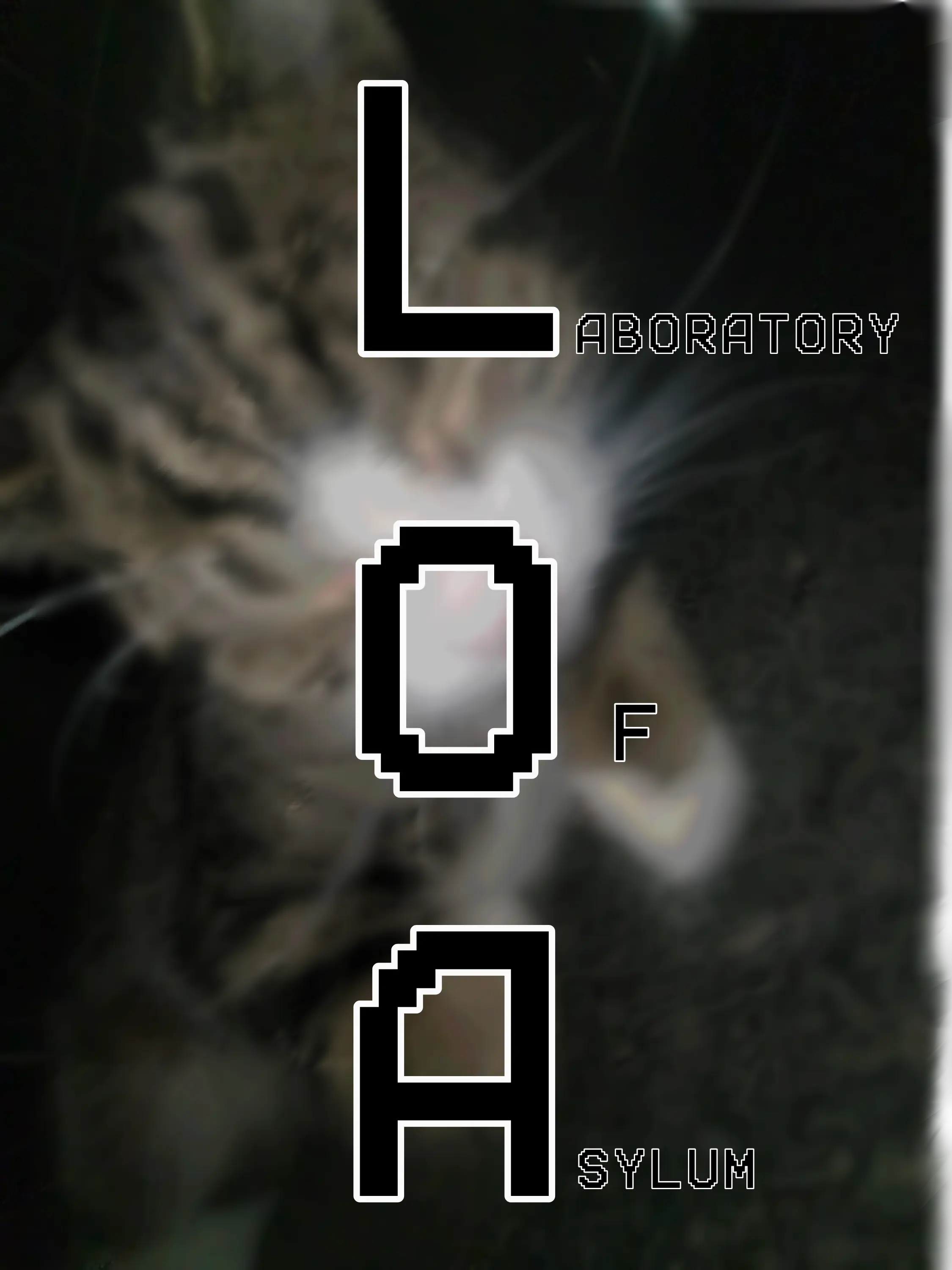 DaringGlove6570의 LABORATORY of ASYLUM.