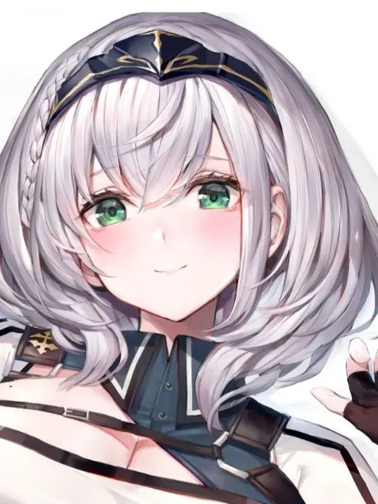 Yumehaa의 拾われノエル