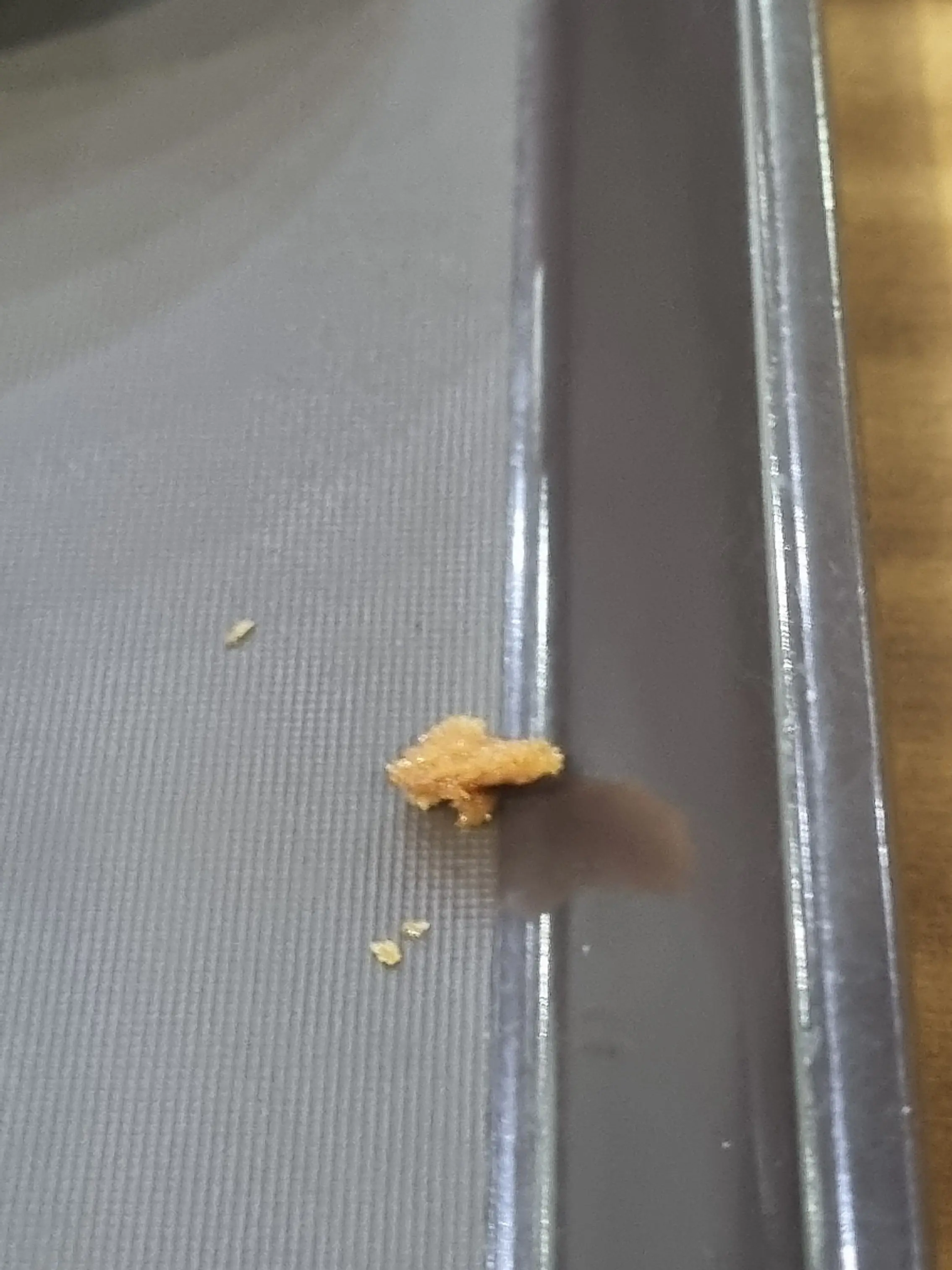 AmusedPest7362의 팀나빠가 속았다!?