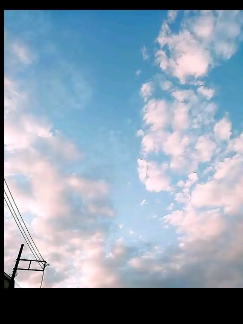 UTUROchan의 悩み事꒦꒷🫠