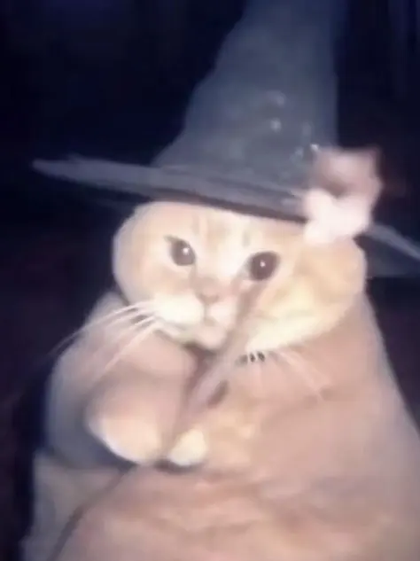 Takotakotacos의 子役パロ