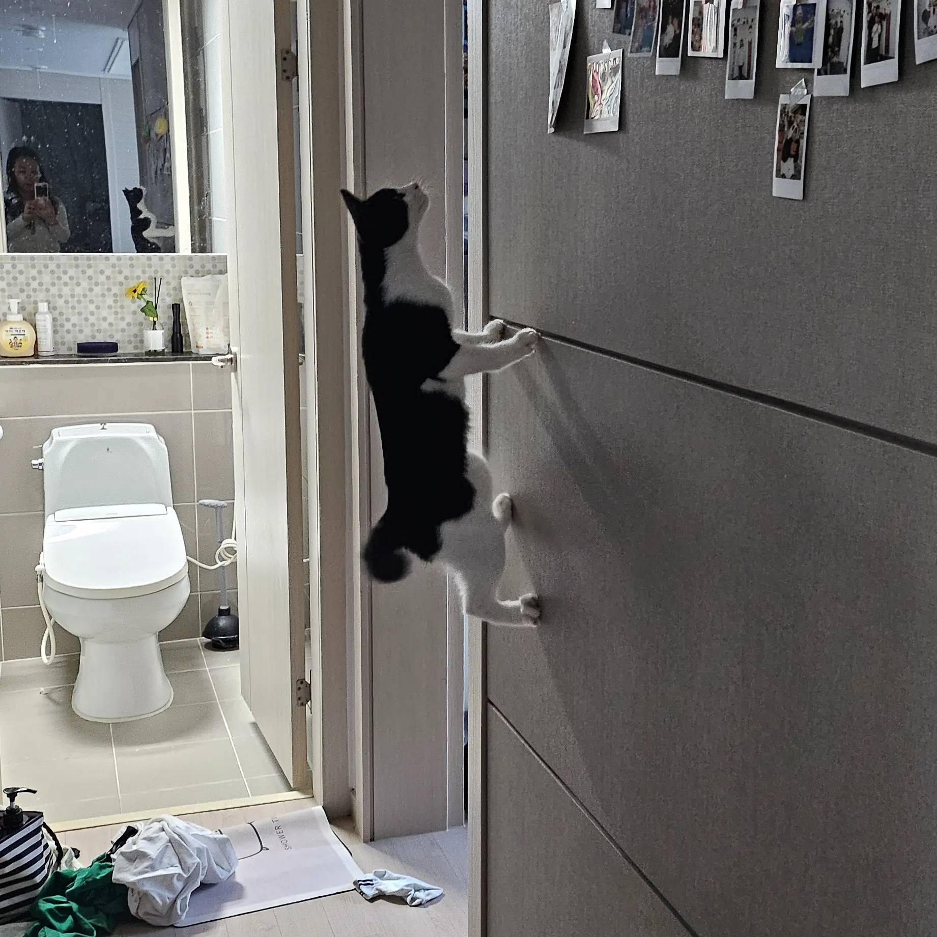 I-love-Muichiro_tokito의 무이치로+여우(사랑해욧)