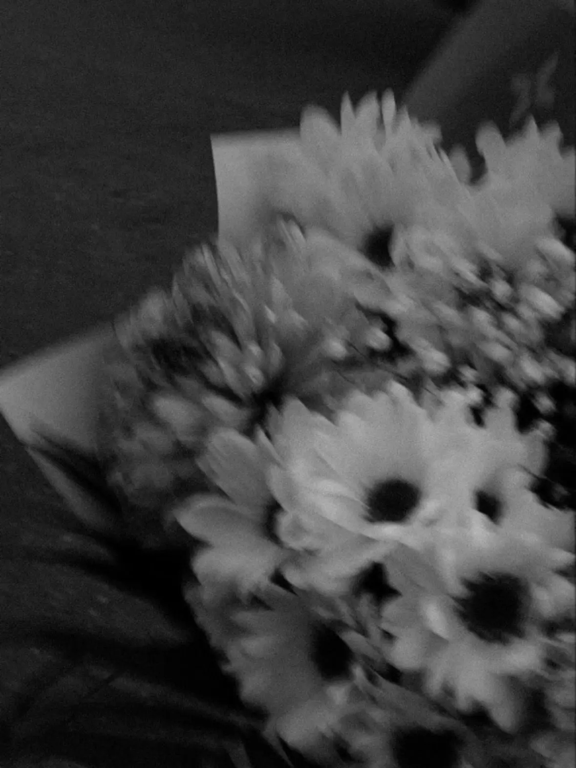 wk0.x_2의 카무이