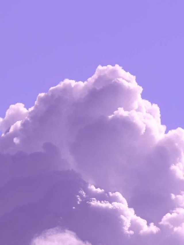 0107 대표 이미지