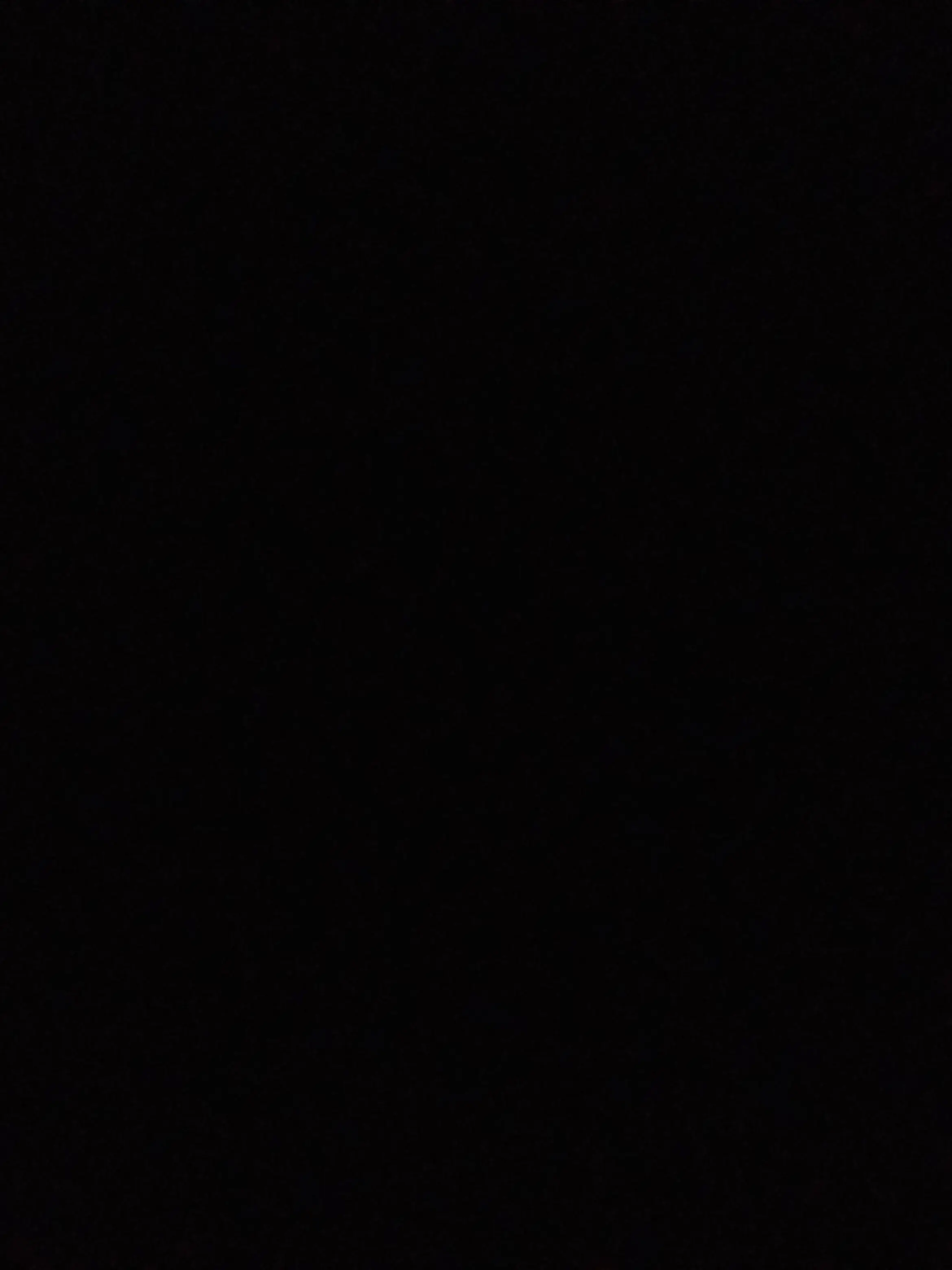 YSH66666의 거짓조와 퓨바(리메이크)