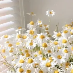 luckk의 해는 달이 되고싶어!!