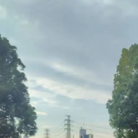 PoorCello9524의 買われた奴隷