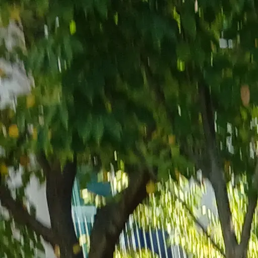 Luay의 악마 학교