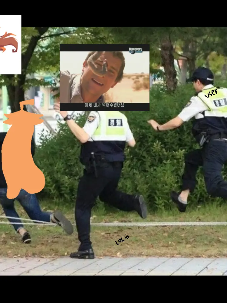 Anggimothii의 케이티버스 숲에 나타난 베어그릴스!?