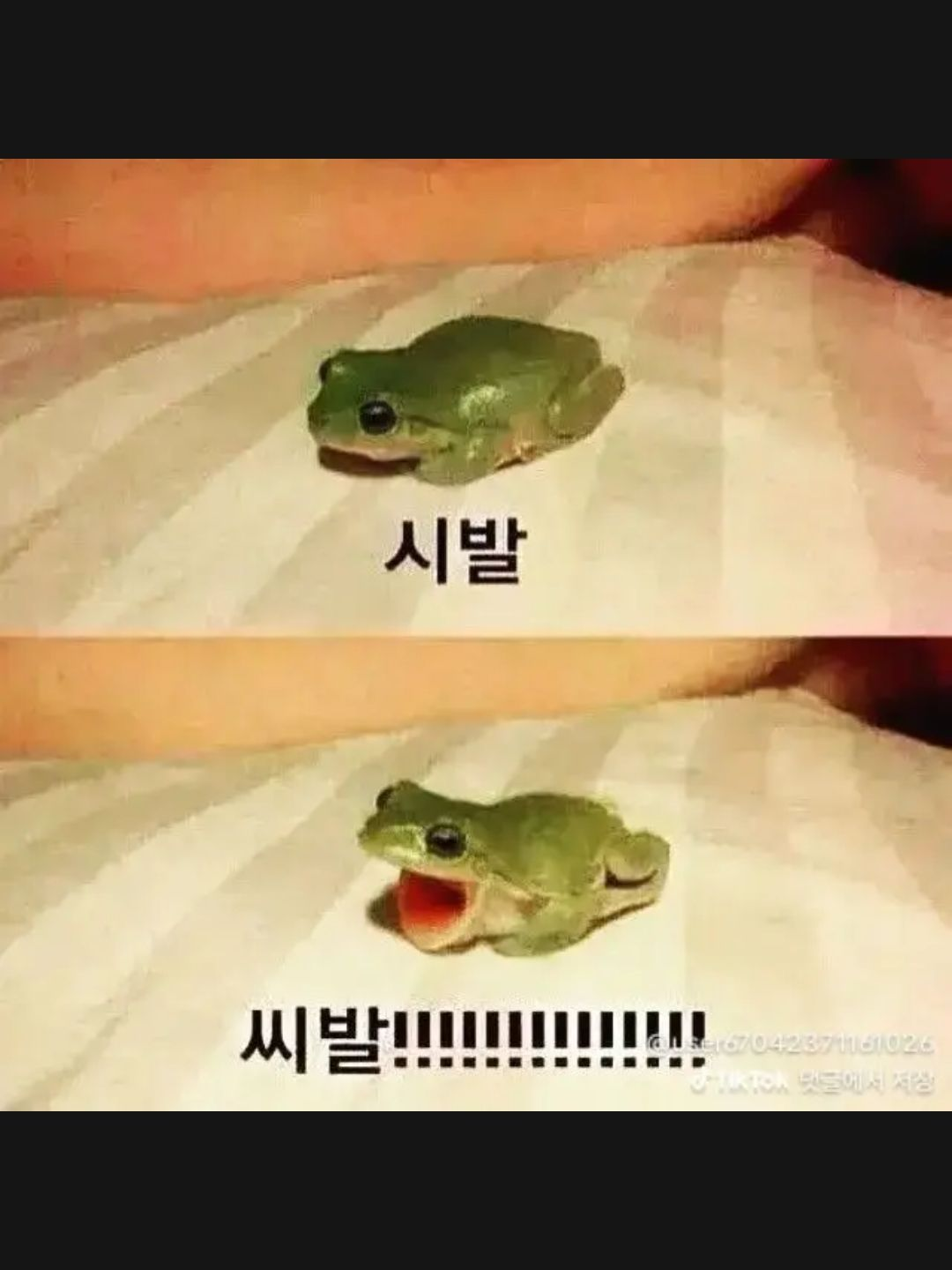 FPE 교사들 대표 이미지