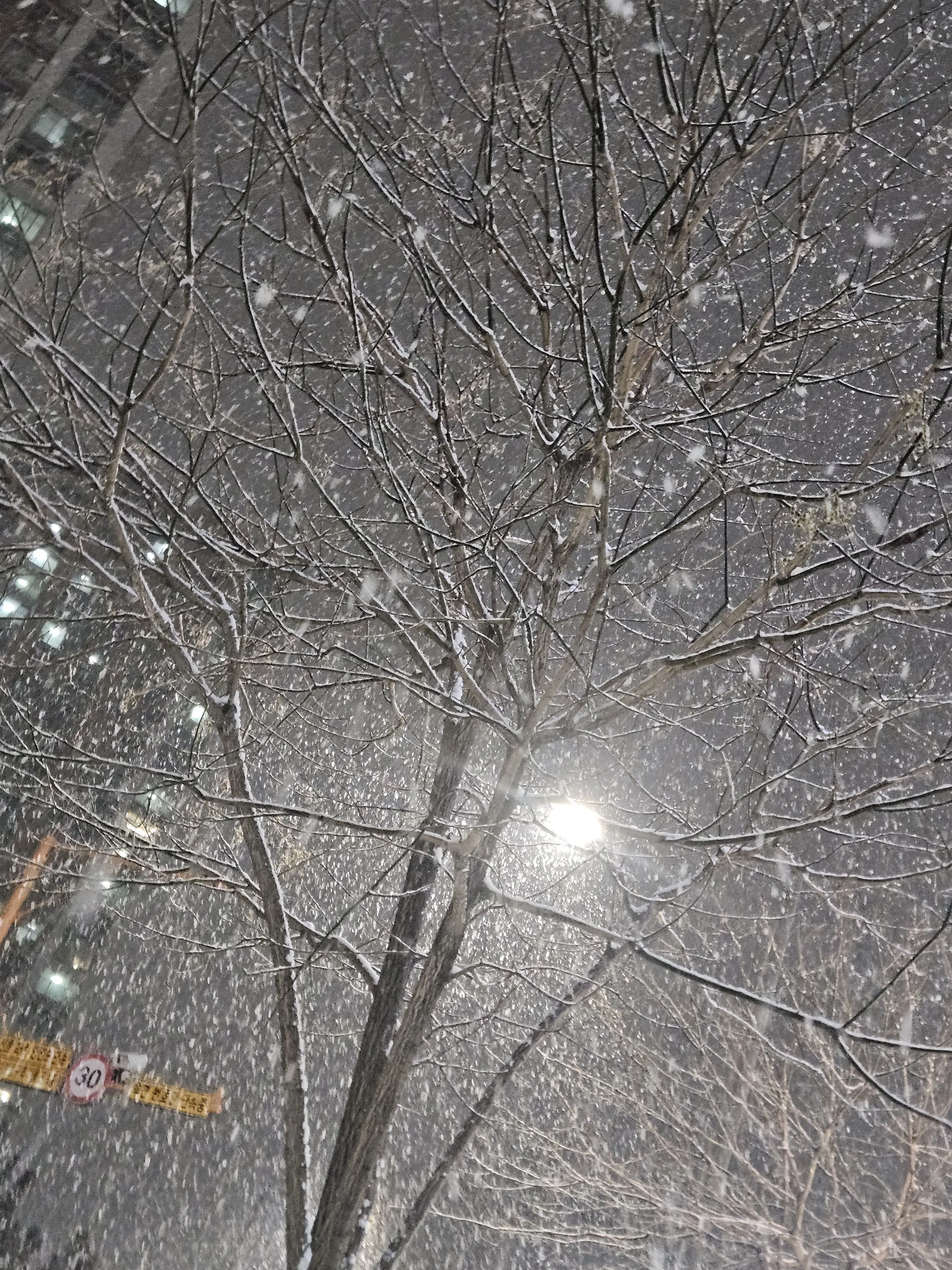 MildLady9001의 유저가 커플링 던짐...ㅜㅜ