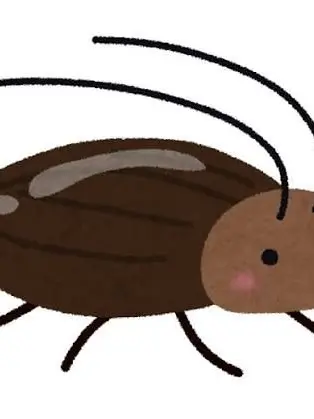 ore.is.ore의 The Biology Observer Demon!!