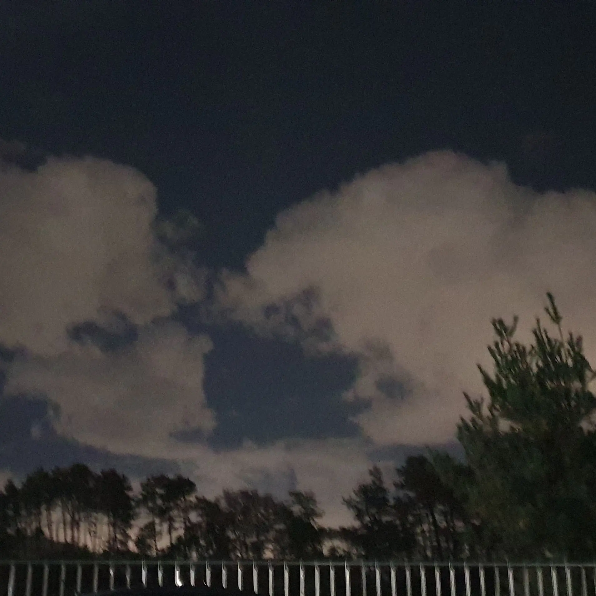 ArdentLaser5609의 귀칼세계관에남미새와여미새가??!!!