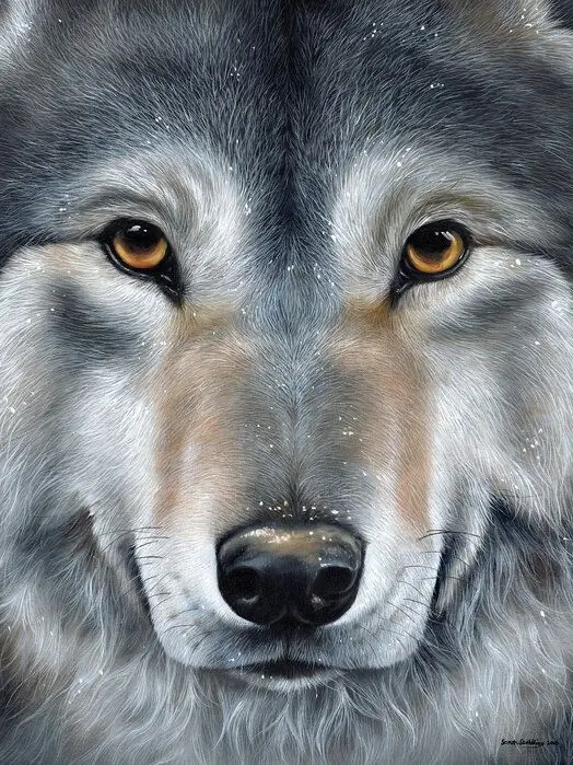 Amyx23의 The Wolf who protects you