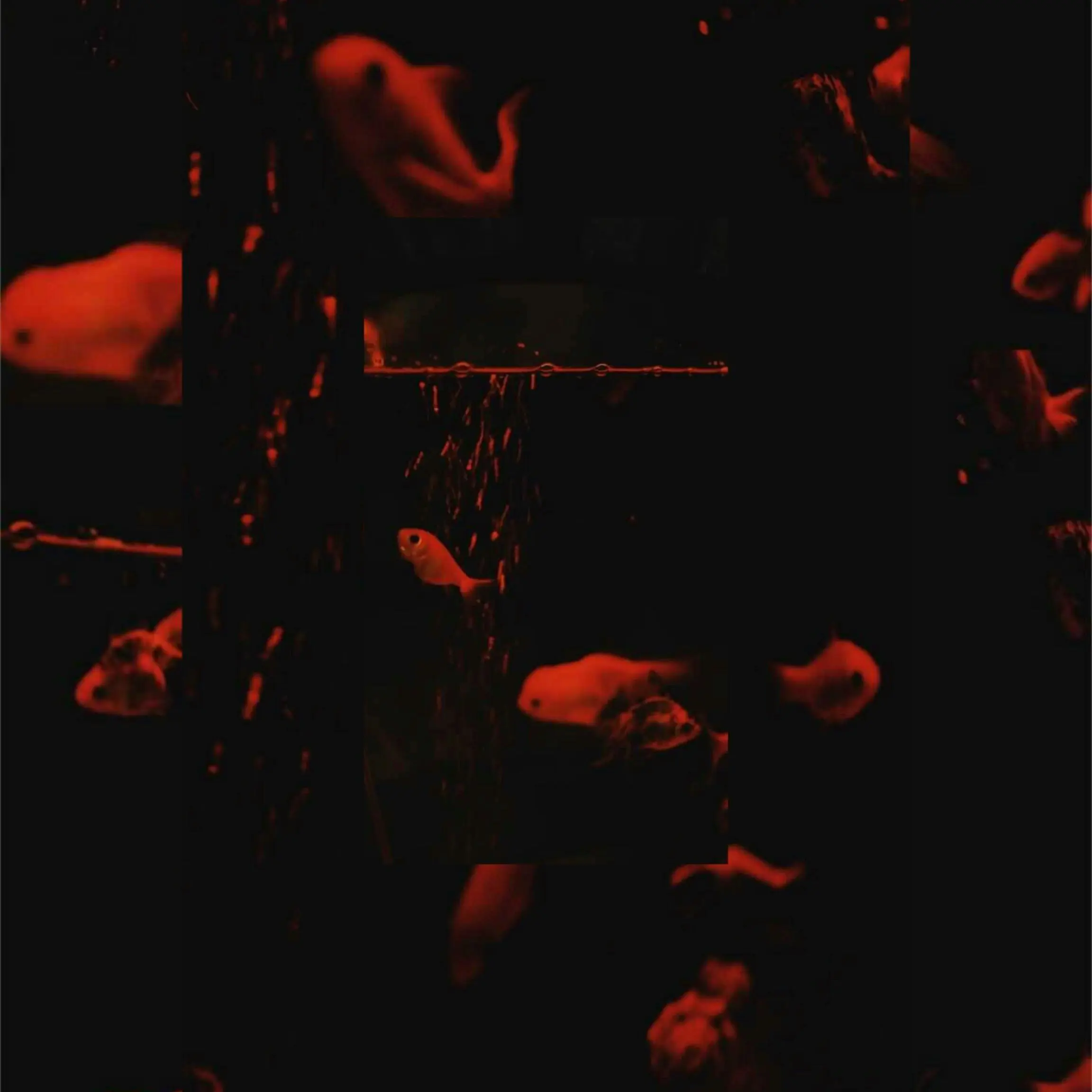 bubblebee의 La mineur