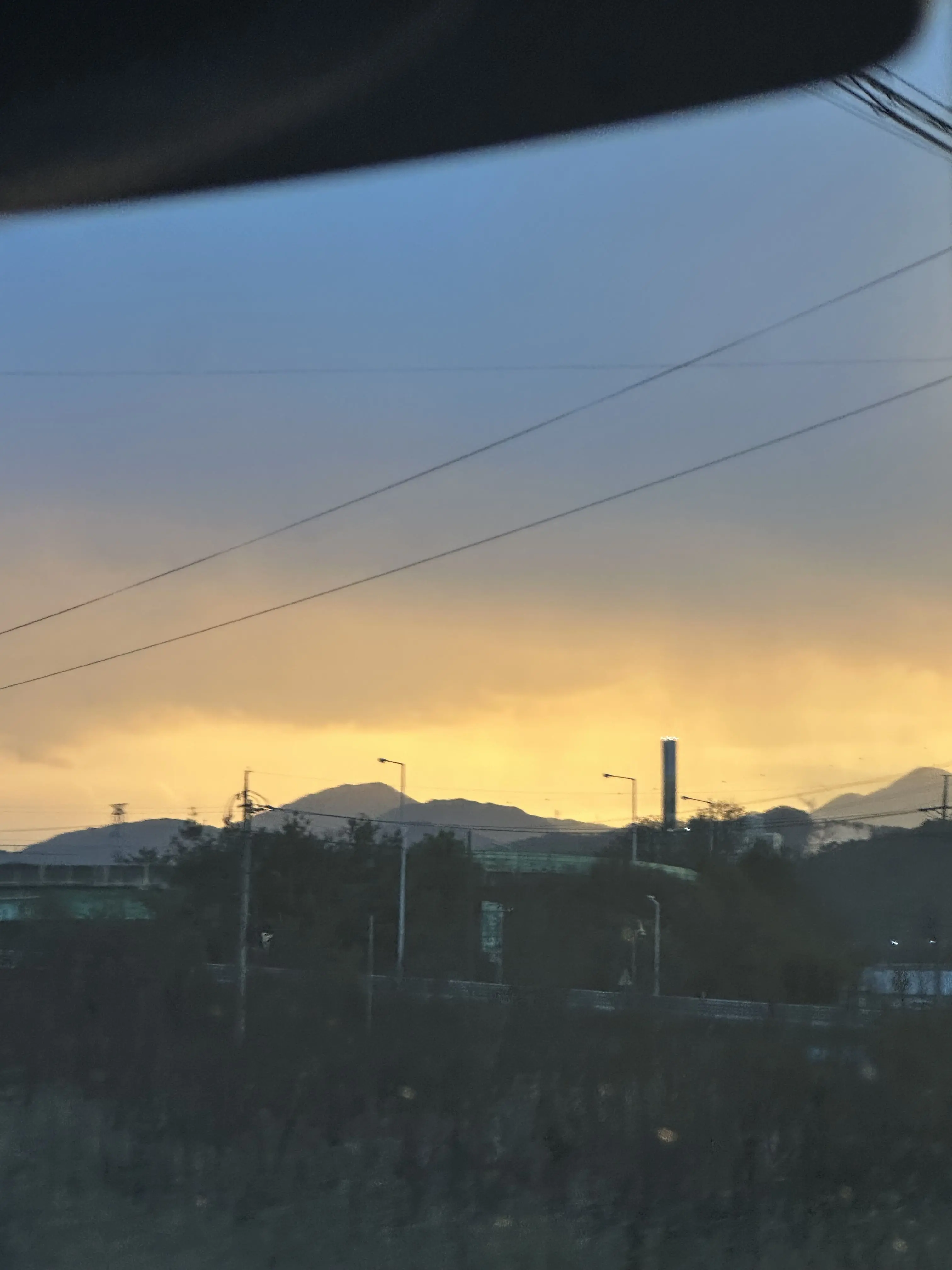 ersdxcfg의 조직의 여우가..?!