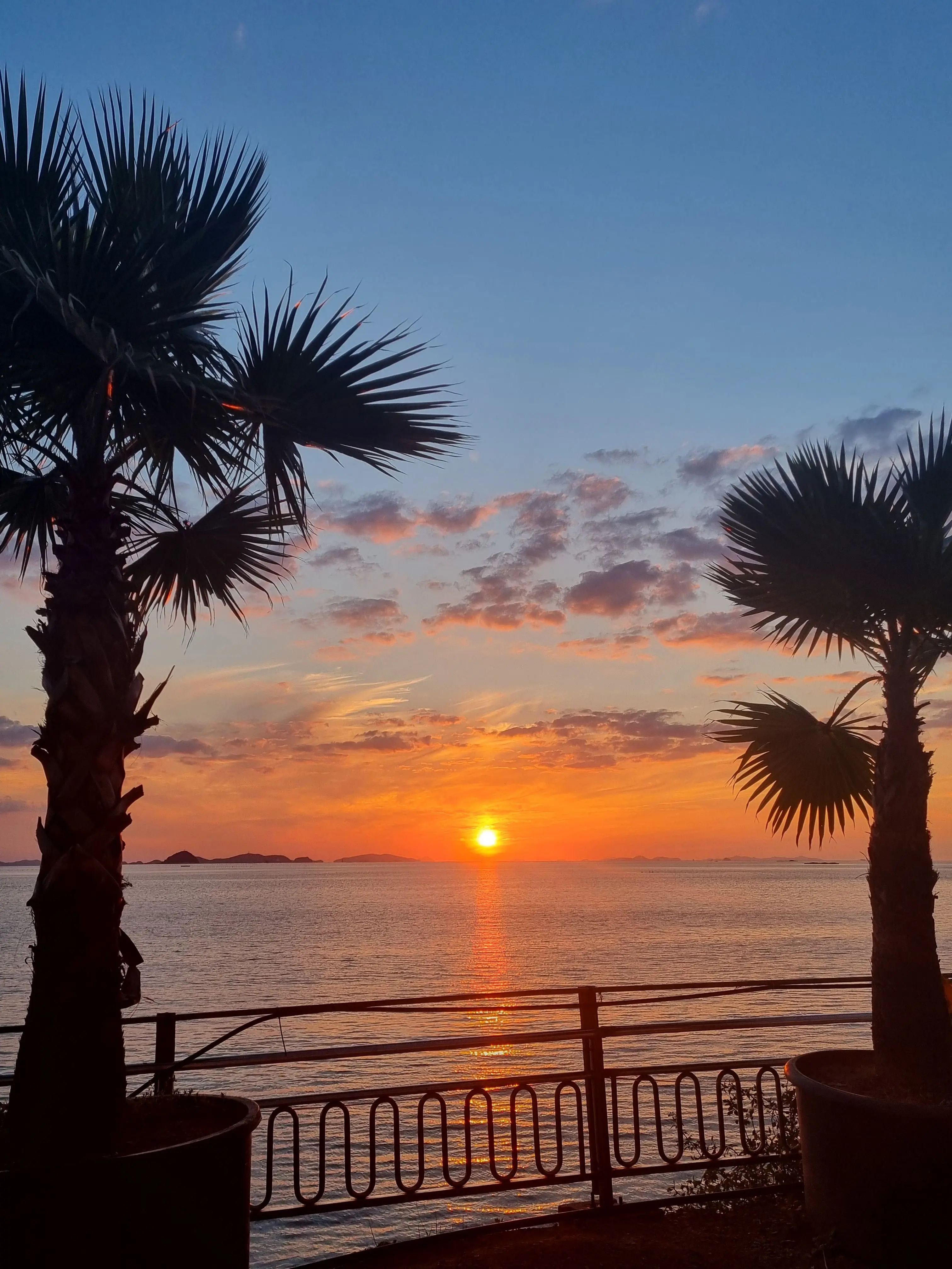 MiniPhone2109의 벌칙이.. 얘네한테 사랑한다 말하기?