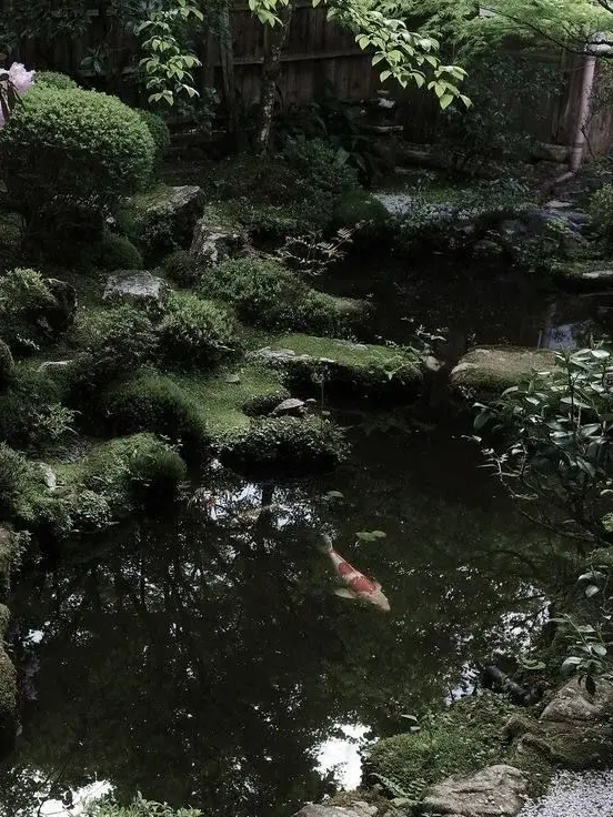 AgileFocus1616의 각별